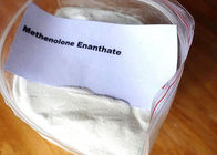 Muscle Gains Legal Anabolic Steroids Methenolone Enanthate USP Standard 303-42-4