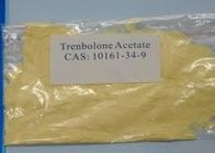 ขาย 99.8% เข้มสีเหลืองสั้นรอบเตียรอยด์เตียรอยด์ผง Trenbolone Acetate Finaplix H Revalor H ผงดิบ CAS: 10161-34-9