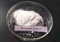 ปลอดภัย Anabolic Steroids ฮอร์โมน Boldenone Acetate สำหรับเพาะกาย CAS 2363-59-9