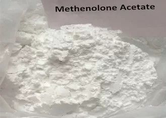 Natural Tren Anabolic Steroid Methenolone Acetate Primobolan สำหรับเพาะกาย