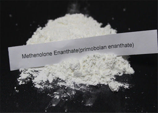 กล้ามเนื้อกำไรกฎหมายสเตอร์ไรด์ Anabolic Methenolone Enanthate USP มาตรฐาน 303-42-4