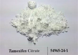 99.5% ความบริสุทธิ์ของเตียรอยด์ผง Tamoxifen Citrate / Nolvadex ผงดิบ CAS 54965-24-1